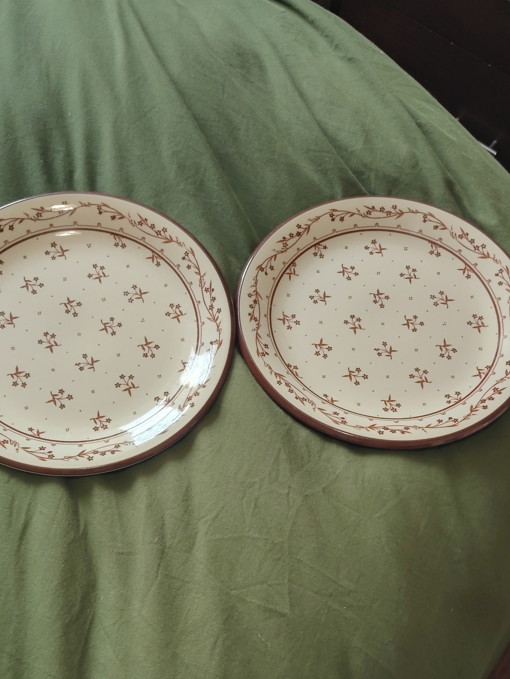 Set Of 2 Vintage Classic Cream and Brown Floral Dinner Plates